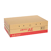 マルチカット ペーパー AE コピー用紙 B5 1箱 500枚×5冊 エイピーピー・ジャパン マルチパーパスペーパー コピー用紙 B5（1箱5冊） IKH904